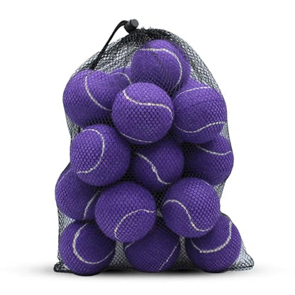 SHYUJAJIE Tennis Balls, 20 Pack Training Tennis Balls,High Elasticity Practice Tennis for Beginner, Exercise Playing Balls for Pet Dog - color: Purple