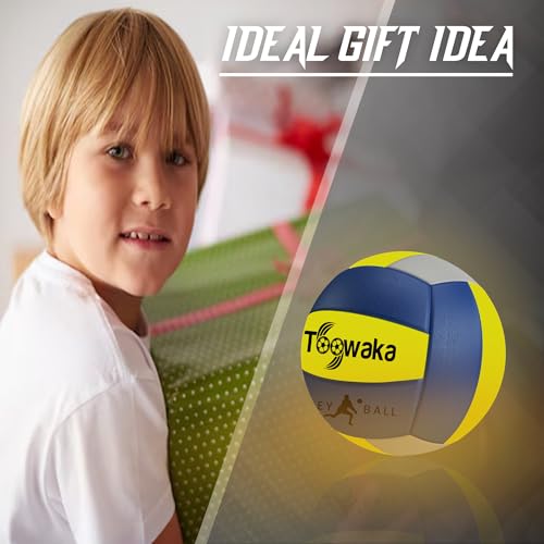 Light up Beach Volleyball,Official Size Glow in the Dark Youth Volleyball, Bright with LED Lights Pre-Installed,Batteries Included