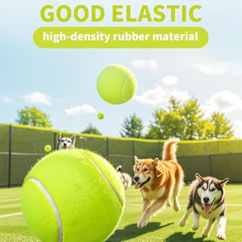 3 Pack Tennis Balls,High Elasticity Practice Tennis for Beginner,Training Balls