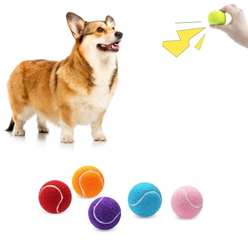 Magicorange 6 Pack Small Tennis Balls, 2 inch Squeaky Tennis Ball for Dogs,Colorful Easy Catching Squeaky Dog Balls with Mesh Bag for Easy Transport (Multicolor)