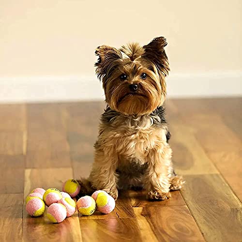 Midlee X-Small Dog Tennis Balls 1.5" Pack of 12- Puppy Mini Fetch Pet Little Tennis Balls -Yellow/Pink - color: Pink