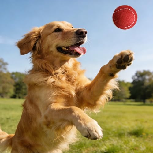 4 Pack Tennis Balls - Long Lasting Practice Balls for Tennis Beginners, Tennis Training Balls, Dog Fetch Toys - color: Red