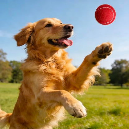 4 Pack Tennis Balls - Long Lasting Practice Balls for Tennis Beginners, Tennis Training Balls, Dog Fetch Toys - color: Red