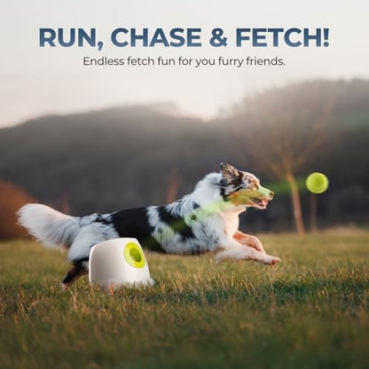 ALL FOR PAWS Automatic Dog Ball Launcher, Interactive Fetch Toy for Medium to Large Dogs, Rechargeable Pet Ball Thrower Machine for Outdoor Play, 6 Pcs 2.5-Inch Balls Included