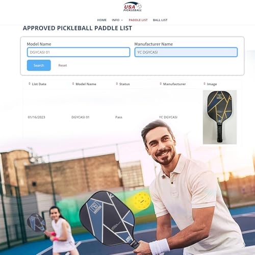 YC DGYCASI Pickleball Paddles Set of 2, USAPA Approved Carbon Fiber Pickleball Set, Lightweight Pickle Ball Rackets 2 Pack, 2 Outdoor Pickleball, 2 Indoor Pickleball, 1 Pickleball Bag - color: Silver