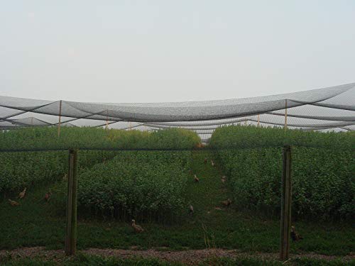 Excursions Aviary Netting 1" Heavy Knotted Poultry Net (25' x 25')