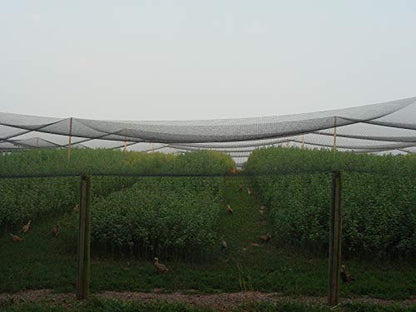 Excursions Aviary Netting 1" Heavy Knotted Poultry Net (25' x 25')