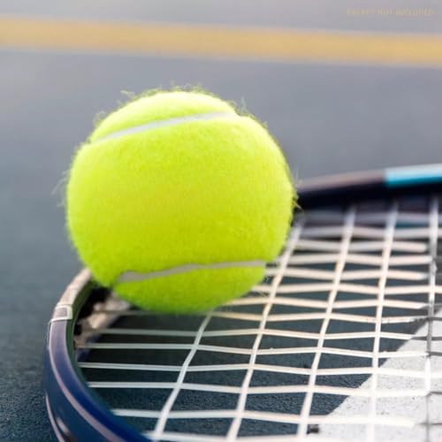 3 Pack Tennis Balls,High Elasticity Practice Tennis for Beginner,Training Balls
