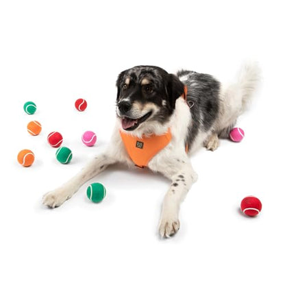 NANDOG The Signature Collection Dog Tennis Training Balls in Green - Durable & Non-Toxic - High Bounce for Agility & Coordination - Engaging Design for Play & Training - Ideal for Indoor & Outdoor Use
