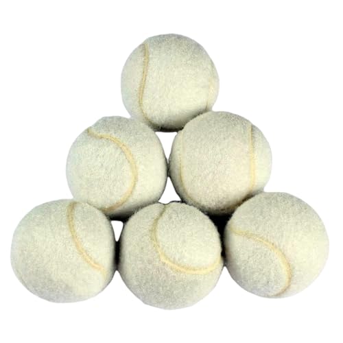 6 PCS Training Tennis Balls, High Elasticity Practice Tennis for Beginner, Exercise Playing Balls Felt Training Toys for Pet Dog (Beige)