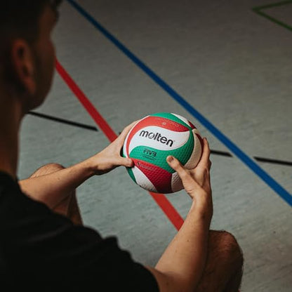 Molten Volley Ball