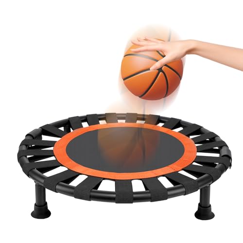 Portable Basketball Training Aid Basketball Training Equipment Indoor or Outdoor Silent Mat Basketball Training Rebounder Ball Returns & Guard Nets for Baseball