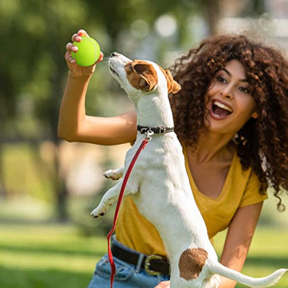 Lenwen 50 Pack Dog Tennis Balls Pet Training Tennis Balls 2.5 Inch Rubber Interactive Dog Pet Practice Playing Toys with Mesh Bag for Beginners Training,Play,Exercise