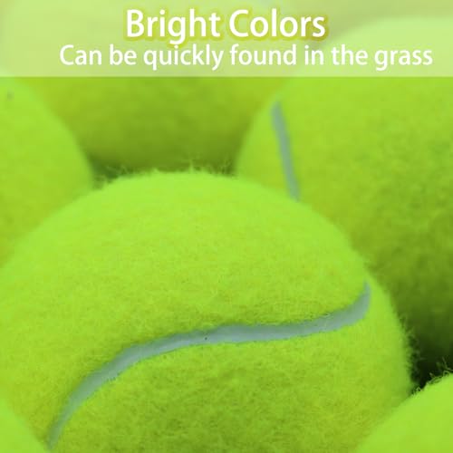 SHYUJAJIE Tennis Balls, 40 Pack Training Tennis Balls,High Elasticity Practice Tennis for Beginner, Exercise Playing Balls for Pet Dog - color: Yellow