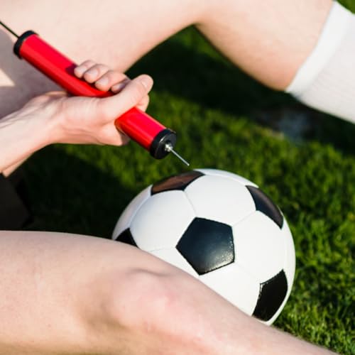 POPETPOP 20 Pcs Ball Inflation Needles with O-Ring for Basketball Soccer Volleyball Football Compatible with Hand and Electric Air Pumps Portable Sports Pump Needles