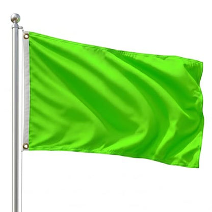 DMSE Solid Magenta Flag, 2x3 Flag, UV Resistant, Fade Resistant Material with Metal Grommets (2ft x 3ft), (Polyester), (Neon Green) - color: Neon Green, size: Polyester (2 x 3 ft)