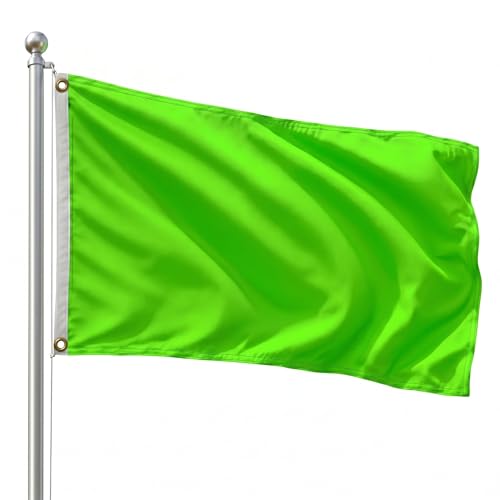DMSE Solid Magenta Flag, 2x3 Flag, UV Resistant, Fade Resistant Material with Metal Grommets (2ft x 3ft), (Polyester), (Neon Green) - color: Neon Green, size: Polyester (2 x 3 ft)