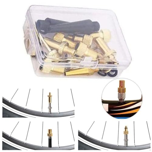 15Pcs Bike Pump Adapter Set Copper SV DV AV Needle Valve Connector Kit For Bicycle Tires Balls With Storage Box