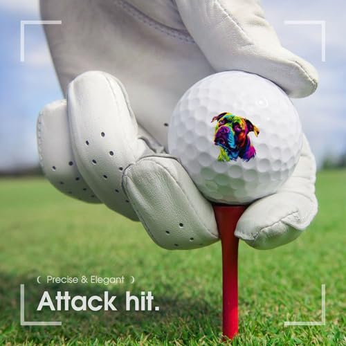 Pit Bull Dog Lover Custom Golf Ball Soft Practice Golf Balls Performance Distance and Speed for Women Men Indoor Outdoor