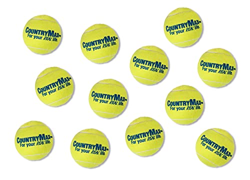 CountryMax Tennis Balls Medium Standard 2.5" for Small and Medium Breed Dogs Aggressive Chewers Training and Playtime (12 Pack) - size: 12 Pack