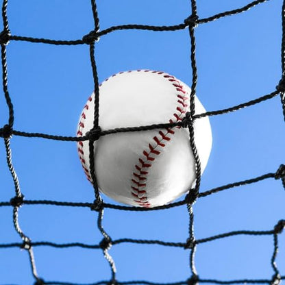 Baseball Backstop Nets | Professional Grade Sports Netting Available in 82 Sizes - 100% Weatherproof with Overlocked Edges - size: 10' x 16'