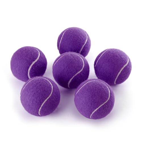 PHOEPET 6-Pack Tennis Balls for Beginner Training Practice- Bulk Dog Balls for Fetch Chew Toys(Purple) - color: Purple-6 Pack, size: Medium 2.5"- 6 Pack