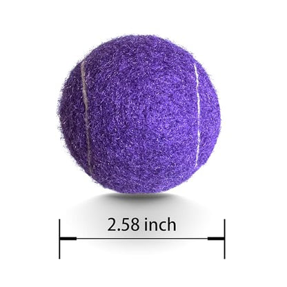 Tennis Balls, 6 Pack Advanced Training & Practice Tennis Balls for Beginners, High Visibility Pet Dog Playing Balls - color: Purple