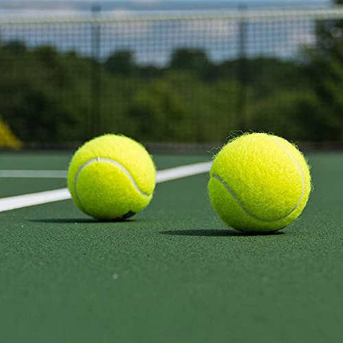URBEST Advanced Tennis Ball 20 Packs, Training Tennis Balls Practice Balls for Novice Player, Pet Dog Playing Balls with Mesh Carry Bag for Beginner Training Ball - color: Black