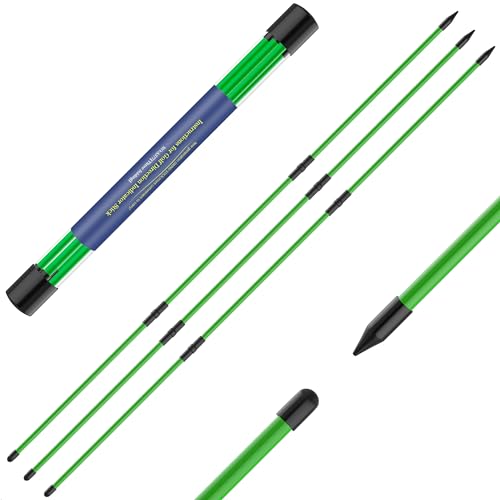 Seticek Golf Alignment Sticks 2 Pack,Upgraded 48" Collapsible Alignment Stick Golf Training Aid for Aiming, Putting, Swing Trainer, Golf Training Sticks with Clear Tube Case - color: Green, style: 3 Pack