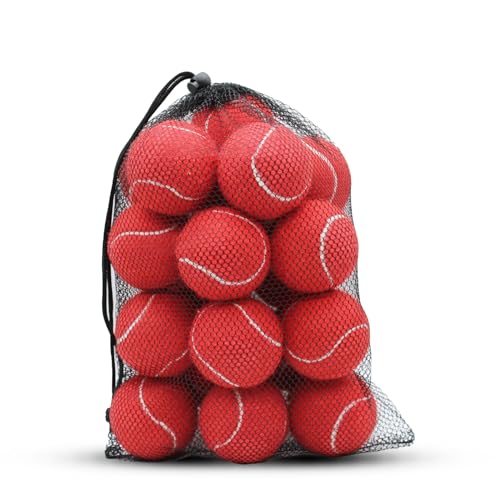 SHYUJAJIE Tennis Balls, 20 Pack Training Tennis Balls,High Elasticity Practice Tennis for Beginner, Exercise Playing Balls for Pet Dog - color: Red