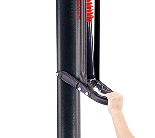 Lifetime Outdoor Basketball Hoop - 52 in Shatterproof Backboard, Adjustable