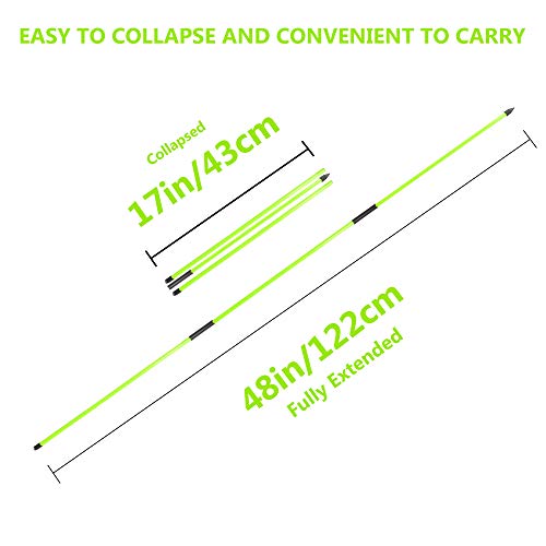 Golf Alignment Stick - Upgraded 48" Golf Sticks Training Aid 2 Pack for Aiming, Putting, Full Swing Trainer, Posture Corrector with Clear Tube Case Golf Gifts for Men Women Golfers