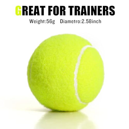 30/40 Pack Training Tennis Balls, Pet Dog Playing Balls, Practice Tennis Balls with Mesh Bag for Transport and Beginner Training - color: Colorful-30Pack