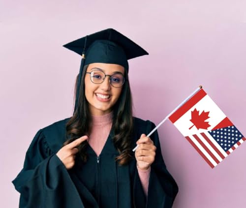10 PCS Canada USA Friendship Handheld Small Flag, Canadian American Flags Hand held Mini Decor Decoration Banner