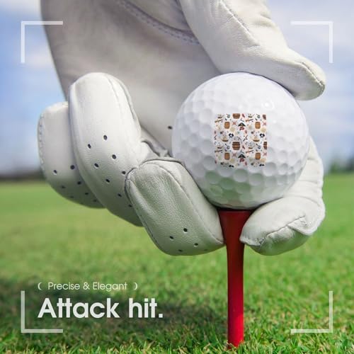 PiratesThemed Items Ship Bird Print Golf Balls for Men Women Practice Training Golf Balls for Indoor Outdoor Use
