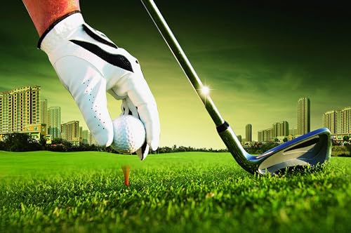 Golf Balls Pro Golf Balls, 3-Piece Urethane Cover Golf Ball for Distance and Straighter Shots, 85 Compression