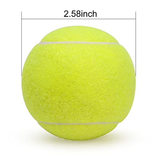 SUNEZLGO 12 Pack Tennis Balls, Advanced Pressure Training Tennis Balls Practice Balls, Tennis Balls for Dogs, Thickened Tennis with Mesh Bag for Transport, Beginner Exercise Ball, Sturdy High Elastic - color: Green