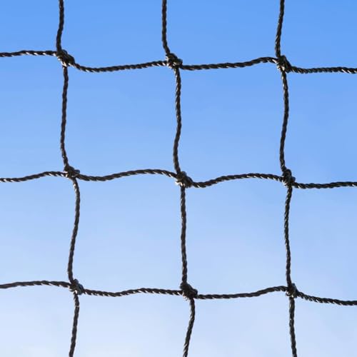 Baseball Backstop Nets | Professional Grade Sports Netting Available in 82 Sizes - 100% Weatherproof with Overlocked Edges - size: 10' x 10'