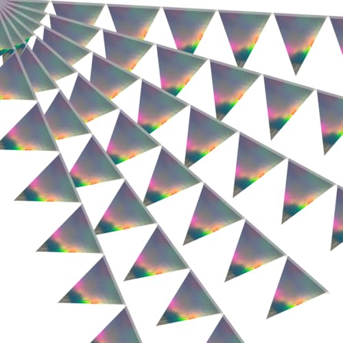64ft Iridescent Triangle Pennant Banner Flag Holographic Hanging Metallic Paper Bunting Garland for Hanging Backdrop Birthday Party Decorations Graduation Bridal Wedding Disco Shower Party Supplies - color: Iridescent