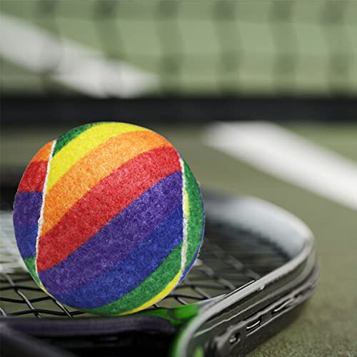 URBEST Advanced Tennis Ball 20 Packs, Training Tennis Balls Practice Balls for Novice Player, Pet Dog Playing Balls with Mesh Carry Bag for Beginner Training Ball - color: Rainbow