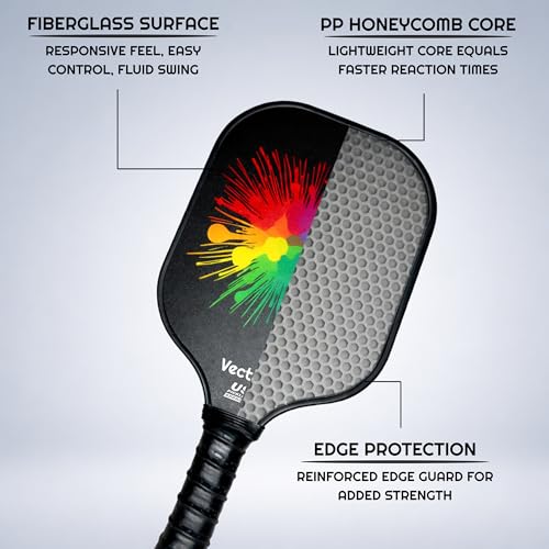 Pickleball Paddles Set of 2, USAPA Approved Pickleball Set with 4 Pickleball Balls and Bag, Fiberglass Pickle Ball Rackets 2 Pack for Men Women