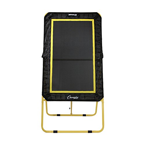 Champion Sports Deluxe Lacrosse Target: Ball Return Bounce Back Net Set for Professional, College and Grade School Training & Drills - style: Deluxe XL Rebounder (4' x 6')