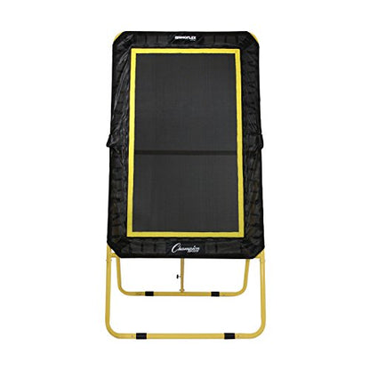 Champion Sports Deluxe Lacrosse Target: Ball Return Bounce Back Net Set for Professional, College and Grade School Training & Drills - style: Deluxe XL Rebounder (4' x 6')