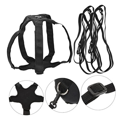 BESPORTBLE 1set Volleyball Spike Trainer Portable Training Equipment for Hitting Swing Practice for Use Compatible Standard Beach Volleyballs