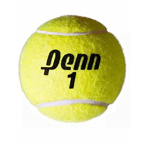 Penn Championship (20 Cans, 60 Balls Total Regular Duty Felt)