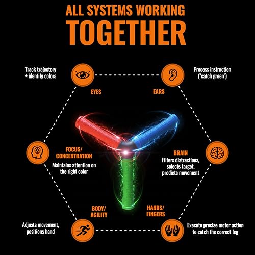 HECOstix Hand-Eye Coordination Trainer (Red/Green/Blue) – Reaction Time & Reflex Tool with Removable Legs | Improves Agility, Focus, & Multisensory Skills | Sports, Fitness, & Fun | All Ages