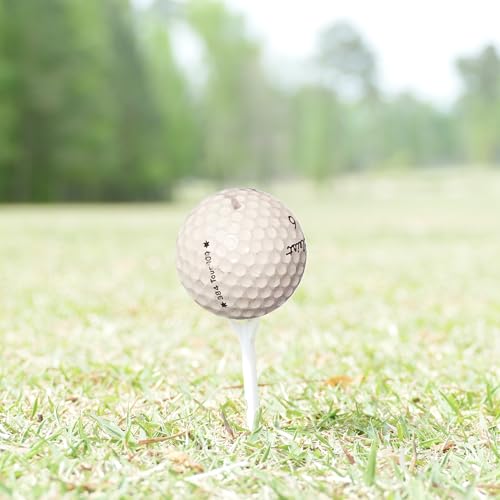 48 Used Golf Balls Bulk – Recycled Hit-Away Golf Balls – AA Quality – Mixed Brands in Mesh Bag - 48-Pack