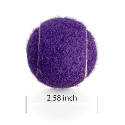 4 Pack Tennis Balls - Long Lasting Practice Balls for Tennis Beginners, Tennis Training Balls, Dog Fetch Toys - color: Purple