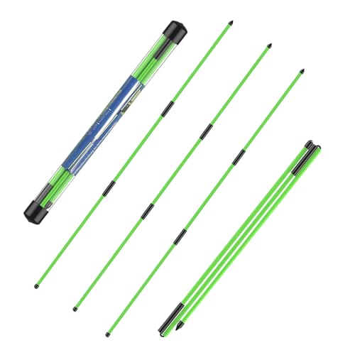 flintronic Golf Alignment Stick, Golf Practice Training Aid, Collapsible Golf Practice Rods for Aiming, Putting, Full Swing, Posture Corrector, with Clear Tube Case