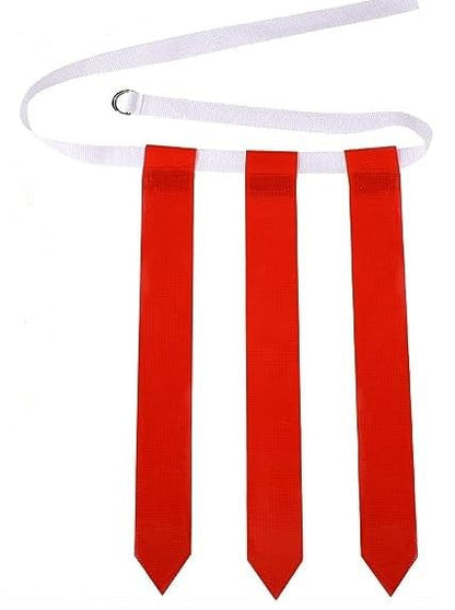 Biggz Flag Football Starter Kit - 48 Belts with (2) Junior Size Footballs and (2) Pumps + Bonus 25 Cones